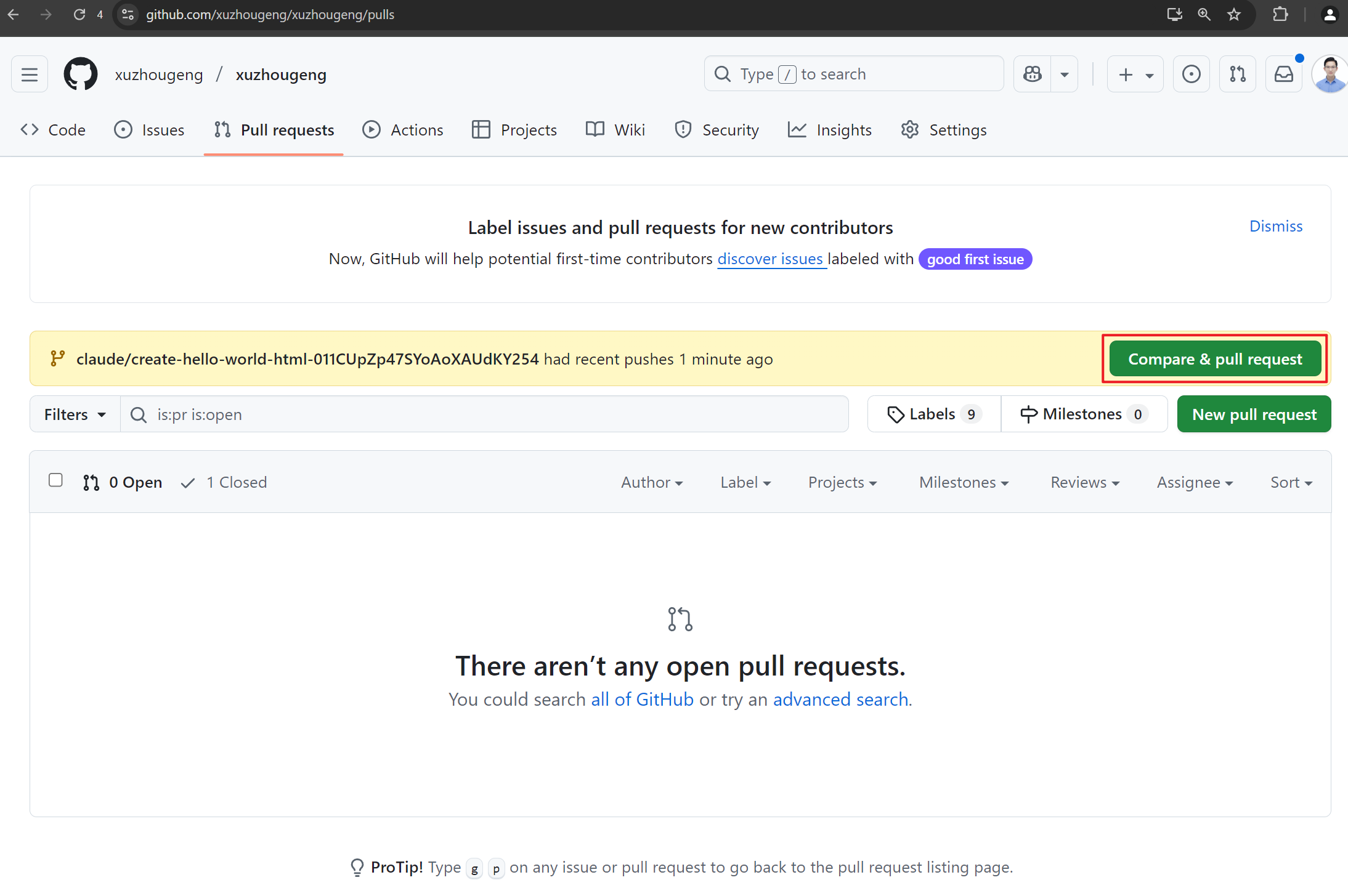 Compare & pull request